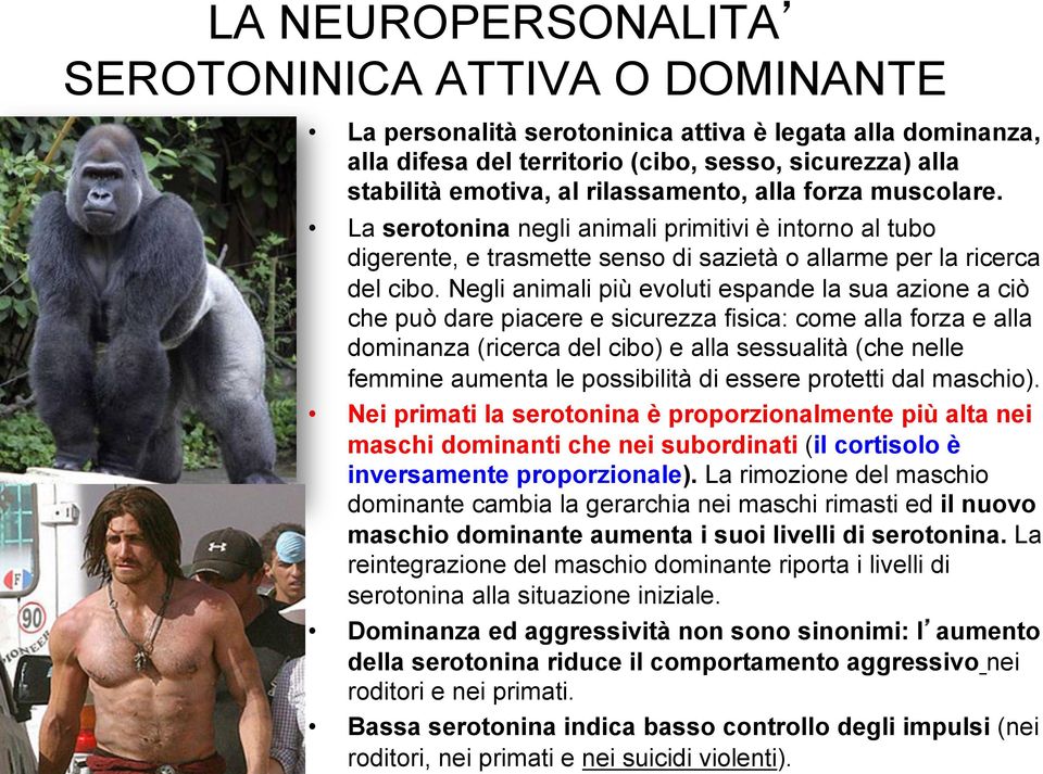 Negli animali più evoluti espande la sua azione a ciò che può dare piacere e sicurezza fisica: come alla forza e alla dominanza (ricerca del cibo) e alla sessualità (che nelle femmine aumenta le