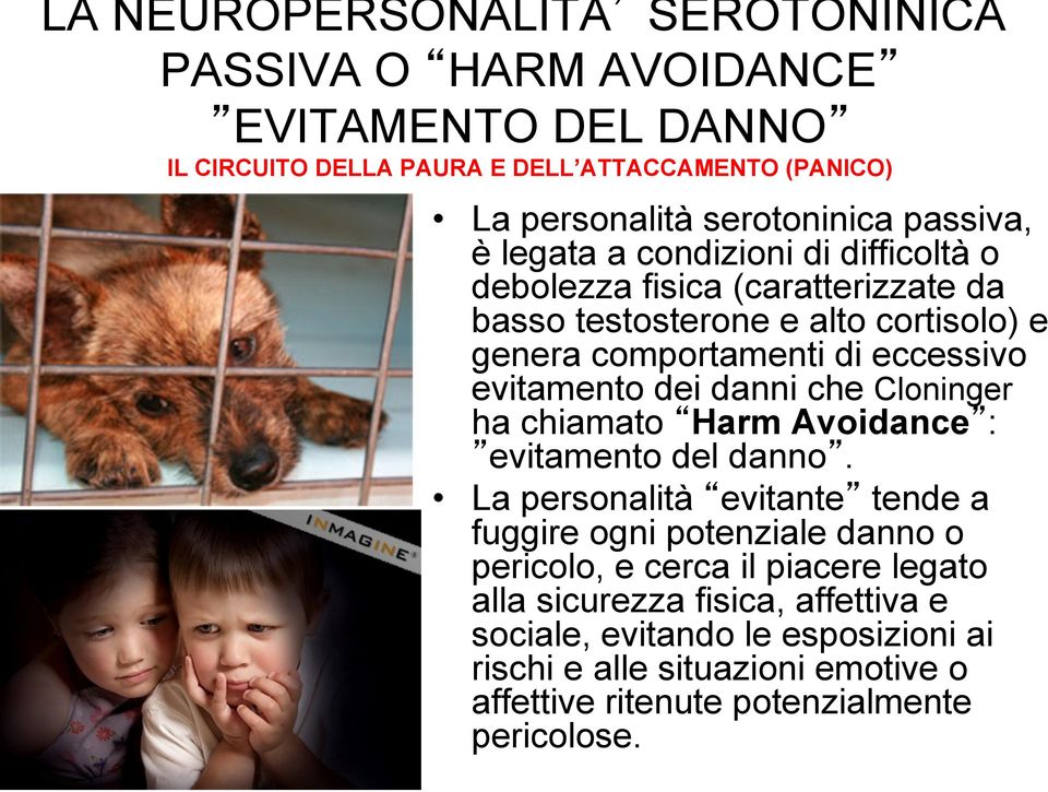 evitamento dei danni che Cloninger ha chiamato Harm Avoidance : evitamento del danno.