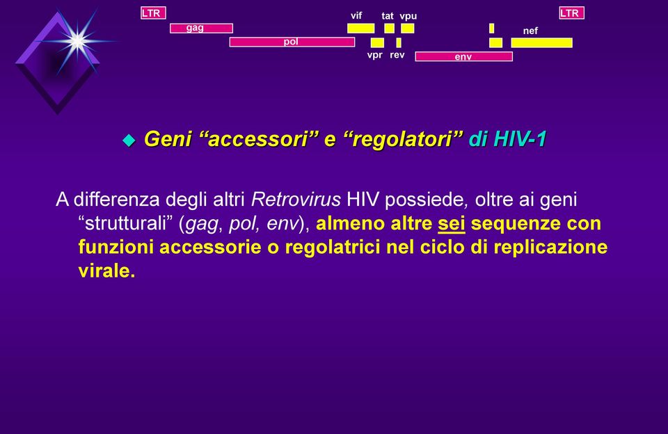 possiede, oltre ai geni strutturali (gag, pol, env), almeno altre