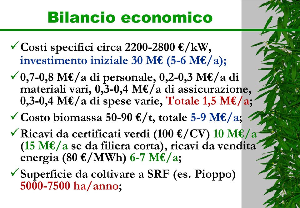 M /a; Costo biomassa 50-90 /t, totale 5-9 M /a; Ricavi da certificati verdi (100 /CV) 10 M /a (15 M /a se da