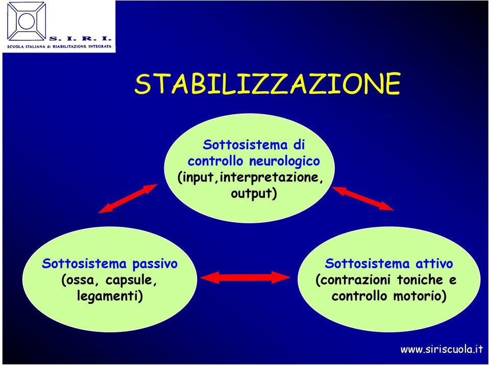 Sottosistema passivo (ossa, capsule, legamenti)