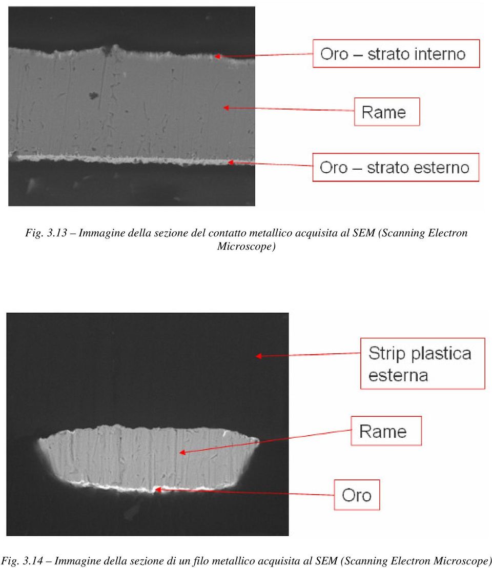 acquisita al SEM (Scanning Electron Microscope) 14