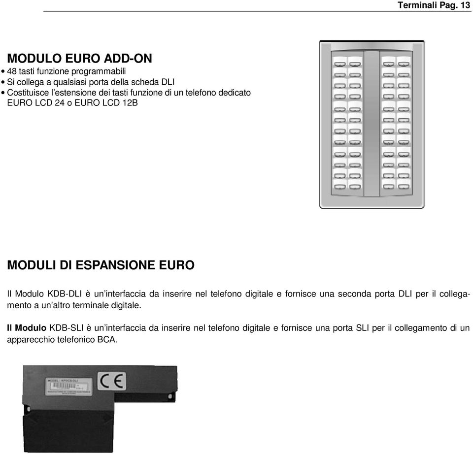 tasti funzione di un telefono dedicato EURO LCD 24 o EURO LCD 12B MODULI DI ESPANSIONE EURO Il Modulo KDB-DLI è un interfaccia da