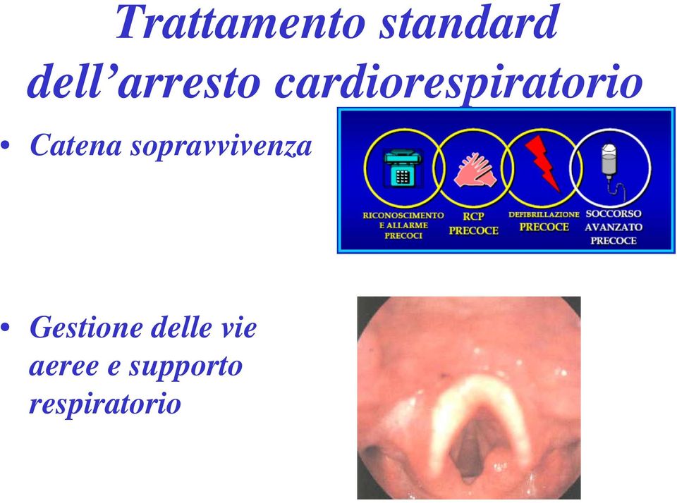 Catena sopravvivenza Gestione