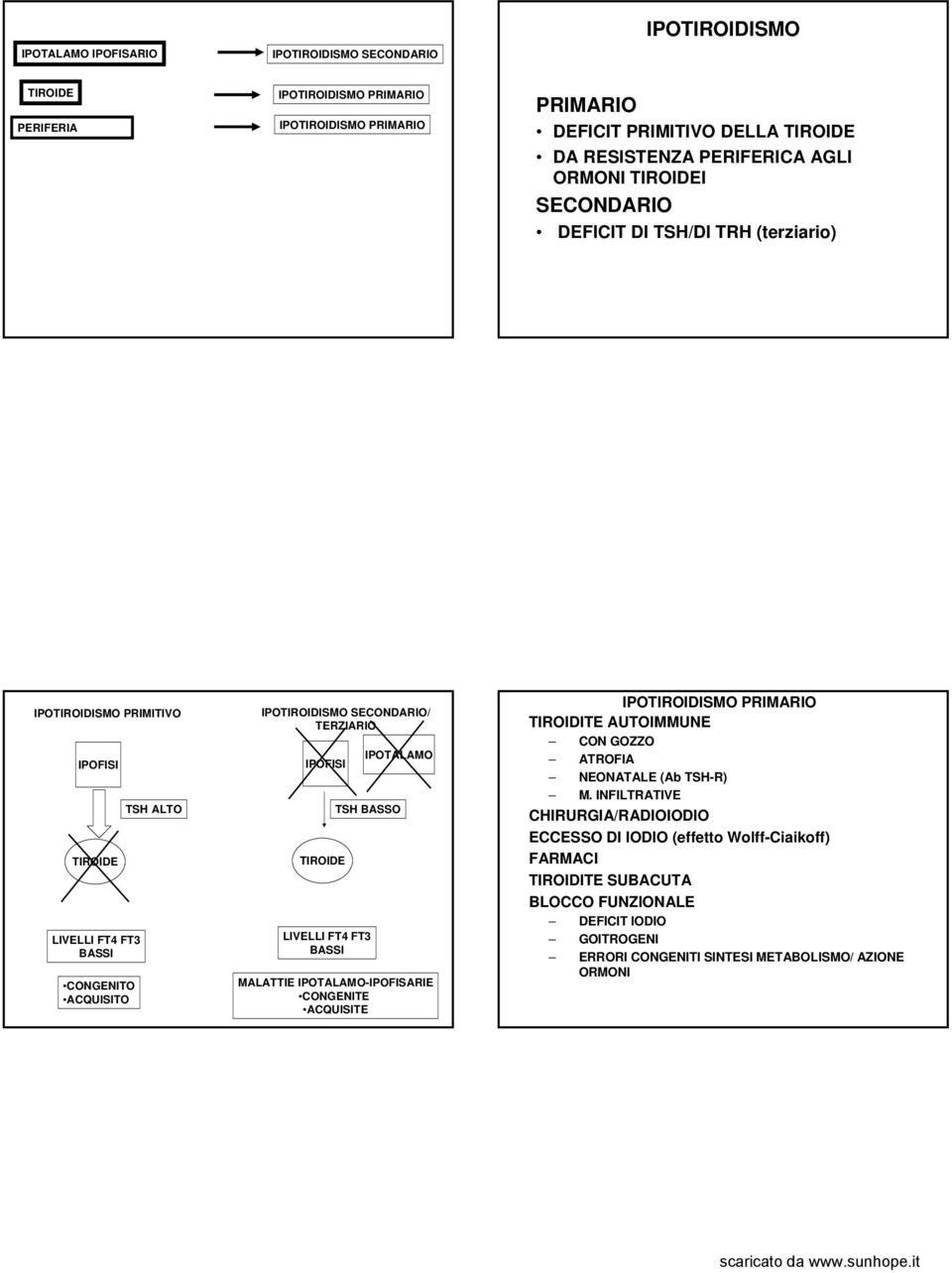 IPOFISI TIROIDE TSH BASSO LIVELLI FT4 FT3 BASSI IPOTALAMO MALATTIE IPOTALAMO-IPOFISARIE CONGENITE ACQUISITE IPOTIROIDISMO PRIMARIO TIROIDITE AUTOIMMUNE CON GOZZO ATROFIA NEONATALE (Ab TSH-R) M.