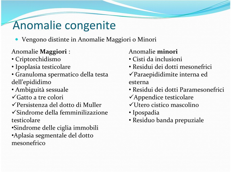 Sindrome delle ciglia immobili Aplasia segmentale del dotto mesonefrico Anomalie minori Cisti da inclusioni Residui dei dotti mesonefrici ü