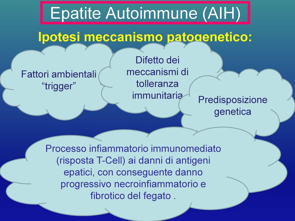 infiammatorio immunomediato (risposta T-Cell) ai danni di antigeni