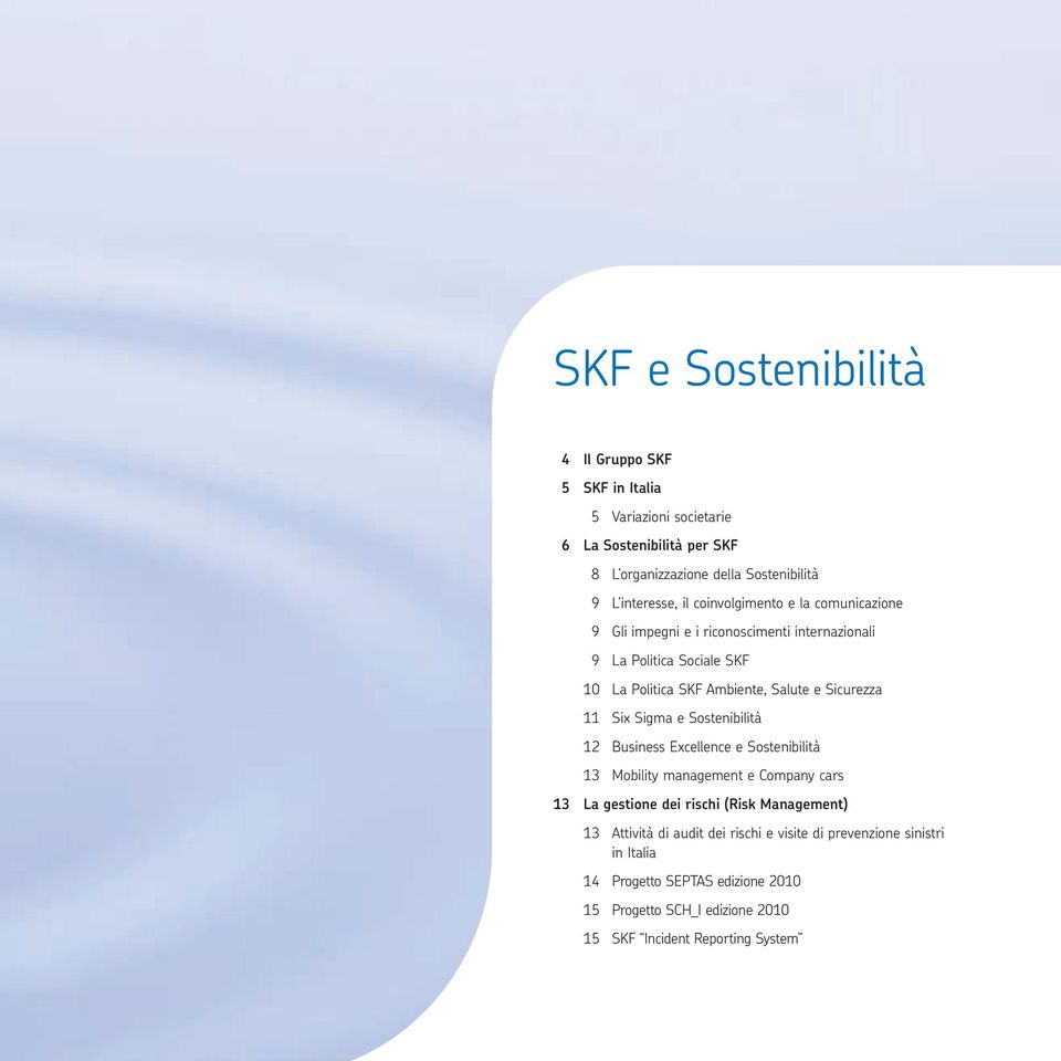 Six Sigma e Sostenibilità 12 Business Excellence e Sostenibilità 13 Mobility management e Company cars 13 La gestione dei rischi (Risk Management) 13 Attività