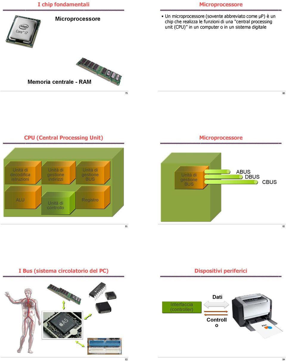 Microprocessore Unità di decodifica istruzioni Unità di gestione indirizzi Unità di gestione BUS Unità di gestione BUS ABUS DBUS CBUS