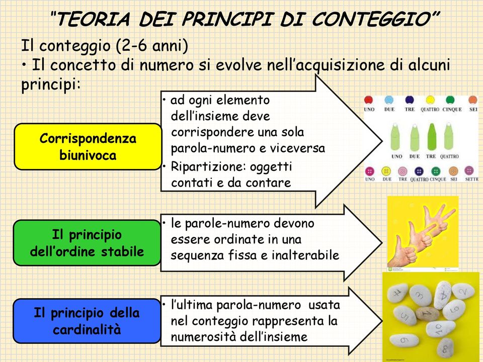 Ripartizione: oggetti contati e da contare Il principio dell ordine stabile le parole-numero devono essere ordinate in una