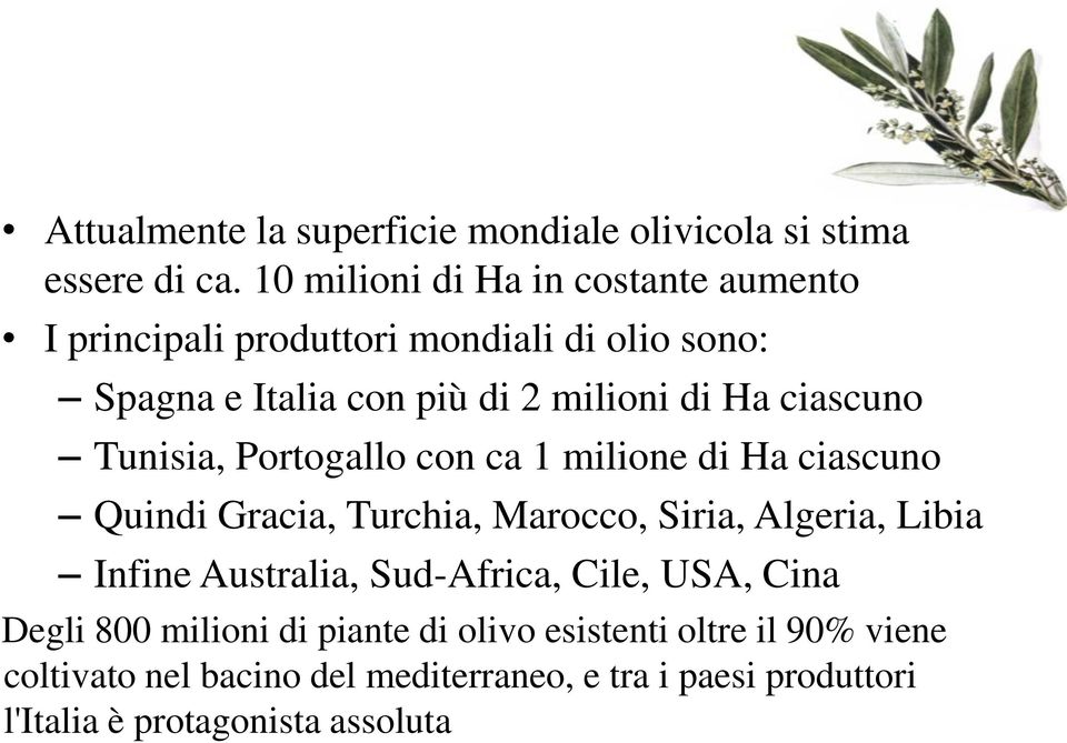 ciascuno Tunisia, Portogallo con ca 1 milione di Ha ciascuno Quindi Gracia, Turchia, Marocco, Siria, Algeria, Libia Infine