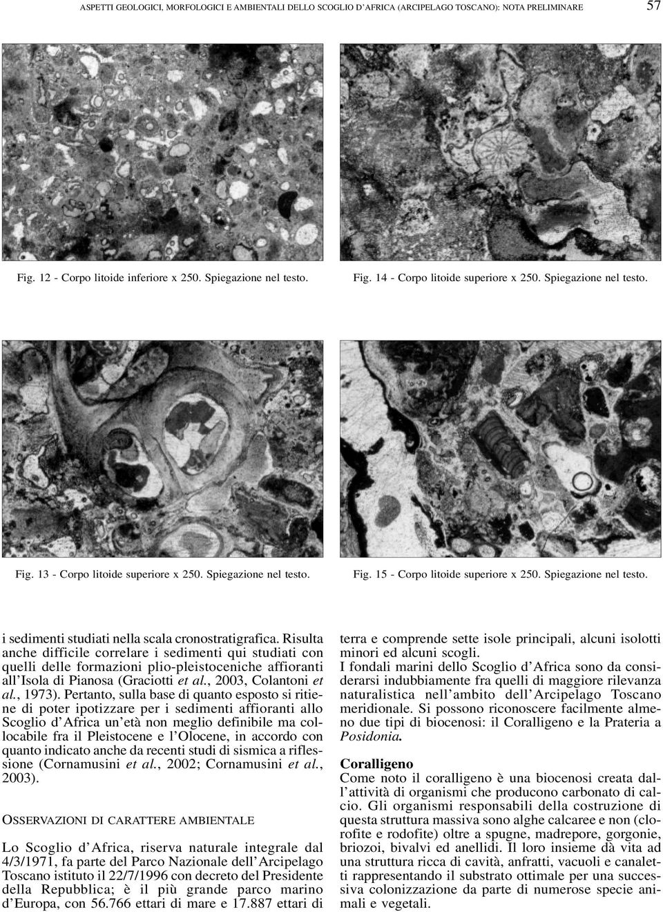 Risulta anche difficile correlare i sedimenti qui studiati con quelli delle formazioni plio-pleistoceniche affioranti all Isola di Pianosa (Graciotti et al., 2003, Colantoni et al., 1973).