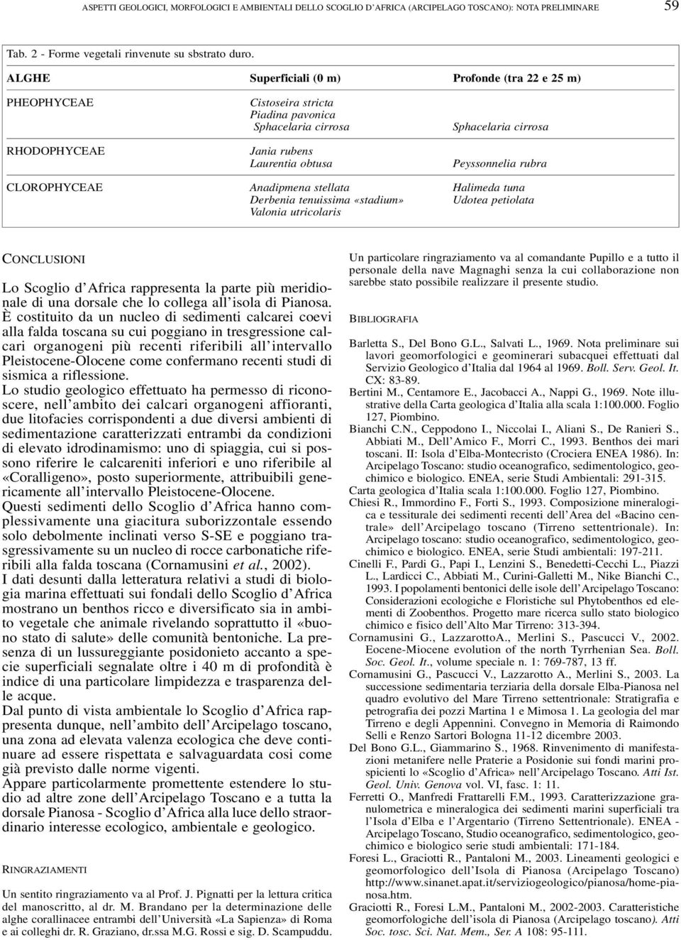 CLOROPHYCEAE Anadipmena stellata Halimeda tuna Derbenia tenuissima «stadium» Udotea petiolata Valonia utricolaris CONCLUSIONI Lo Scoglio d Africa rappresenta la parte più meridionale di una dorsale