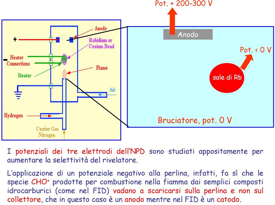 L applicazione di un potenziale negativo alla perlina, infatti, fa sì che le specie CHO + prodotte per combustione