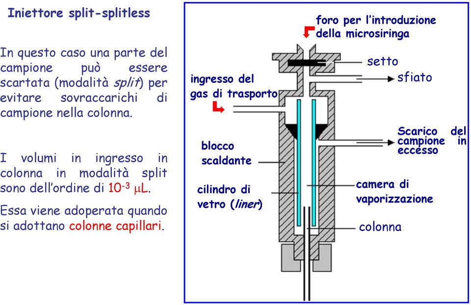 ingresso del gas di trasporto setto sfiato I volumi in ingresso in colonna in modalità split sono dell ordine di 10-3 L.