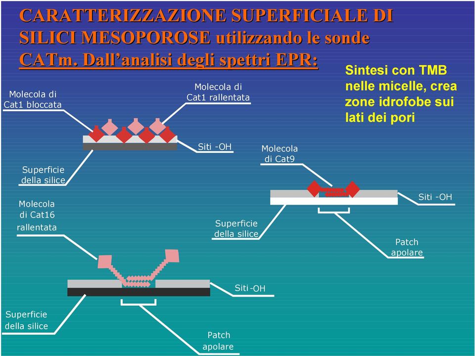 TMB nelle micelle, crea zone idrofobe sui lati dei pori Superficie della silice ti -H Molecola di