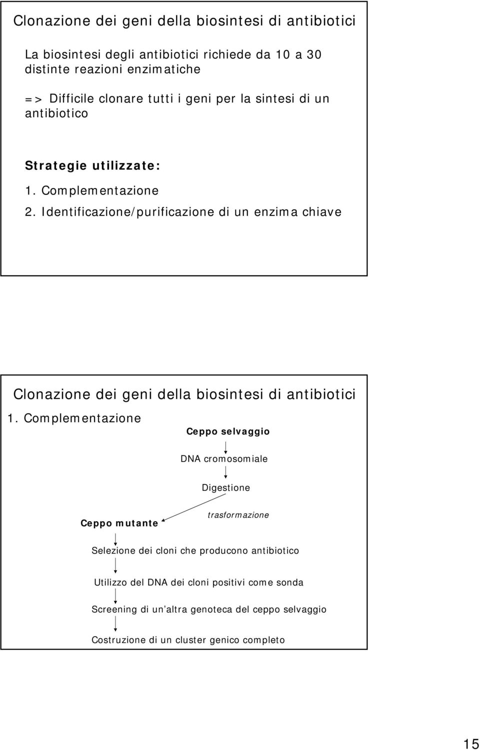 Identificazione/purificazione di un enzima chiave Clonazione dei geni della biosintesi di antibiotici 1.