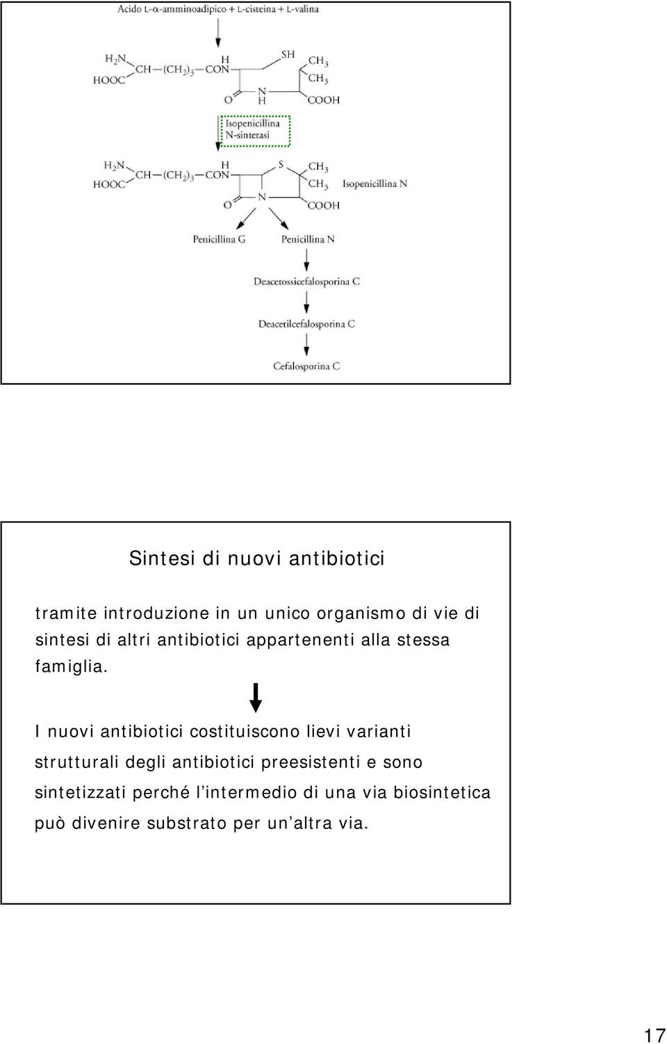 I nuovi antibiotici costituiscono lievi varianti strutturali degli antibiotici