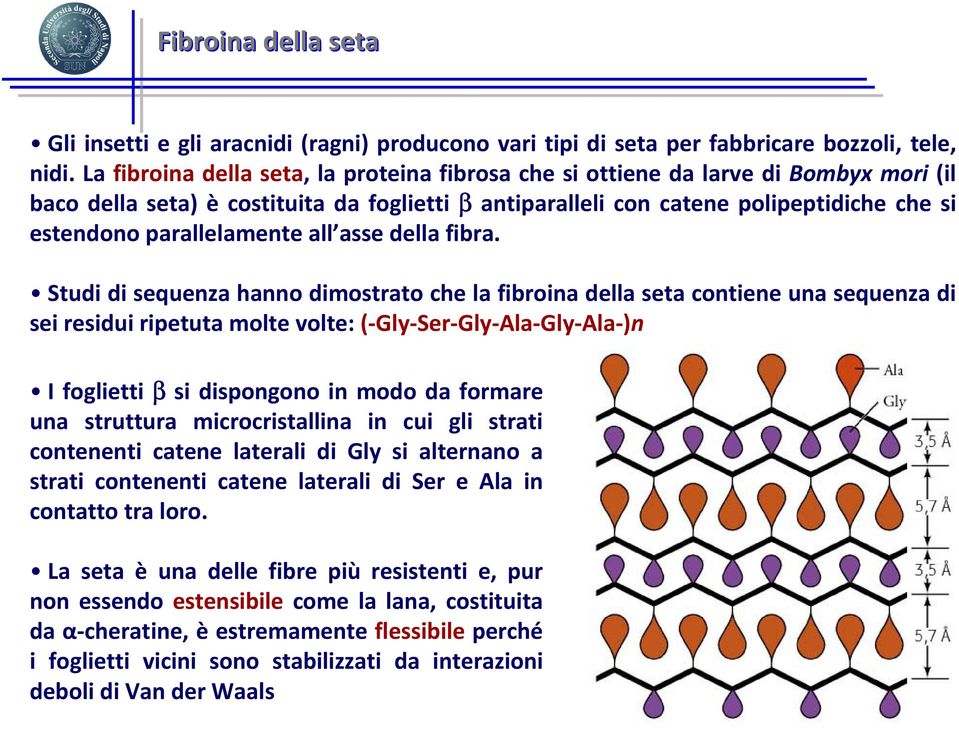 parallelamente all asse della fibra.