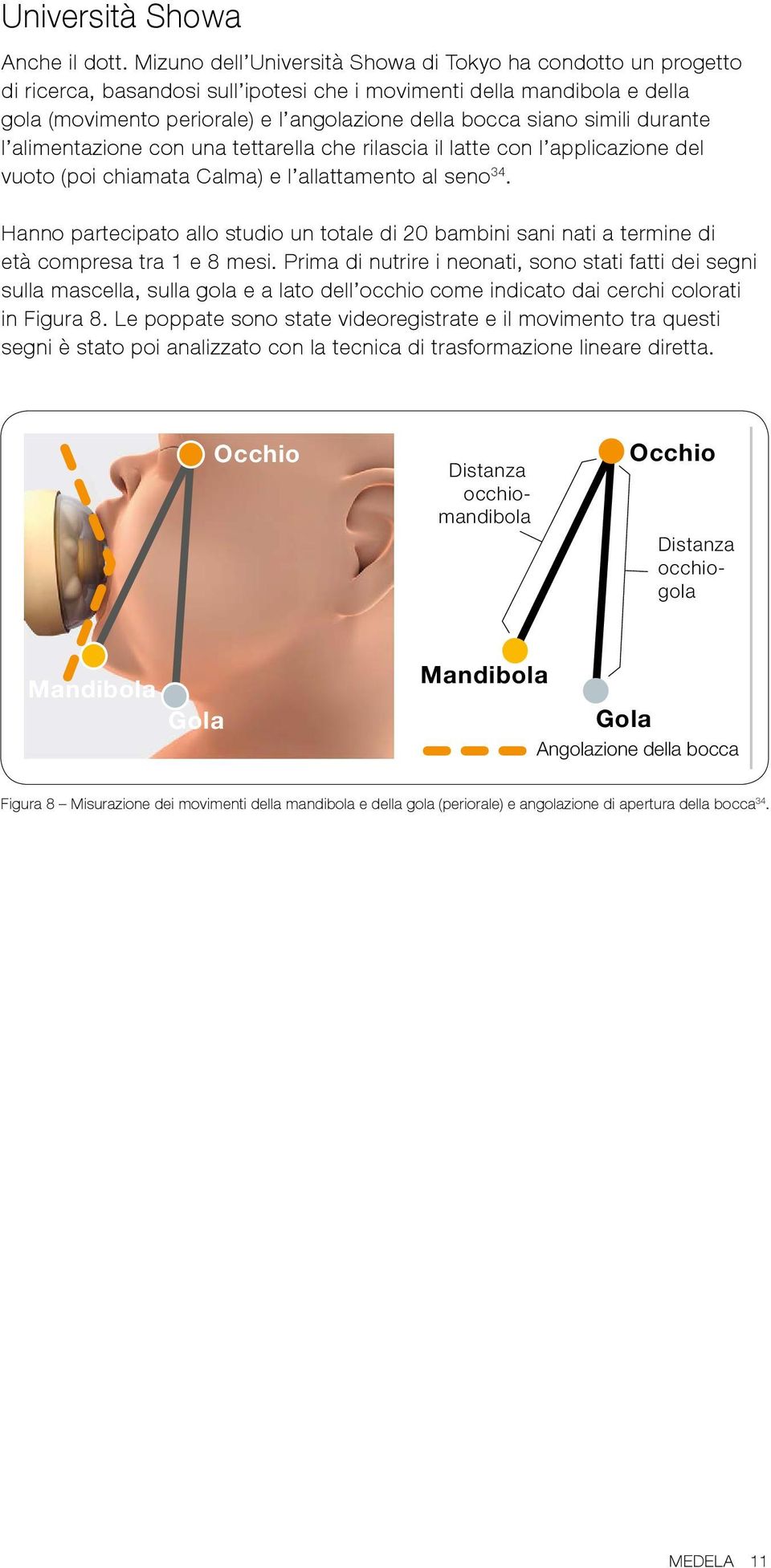 simili durante l alimentazione con una tettarella che rilascia il latte con l applicazione del vuoto (poi chiamata Calma) e l allattamento al seno 34.