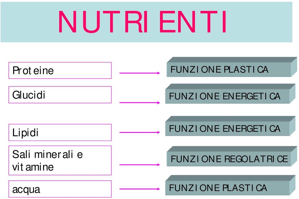 minerali e vitamine acqua FUNZIONE