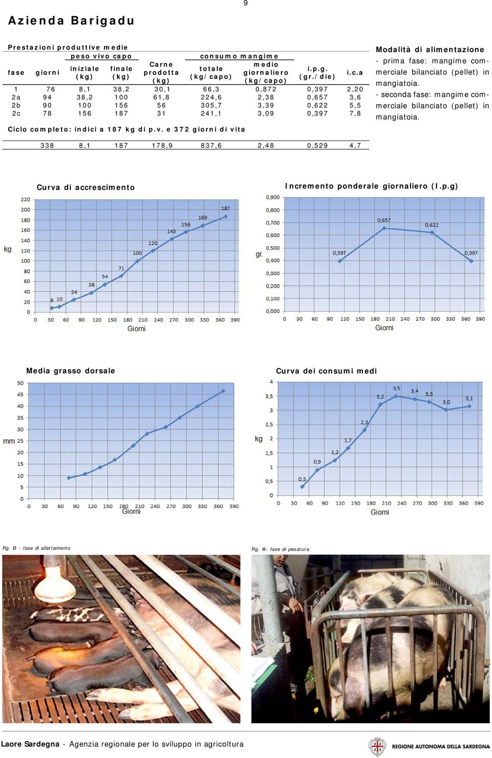 a 187 kg di p.v. e 372 giorni di vita i.c.a Modalità di alimentazione - prima fase: mangime commerciale bilanciato (pellet) in mangiatoia.