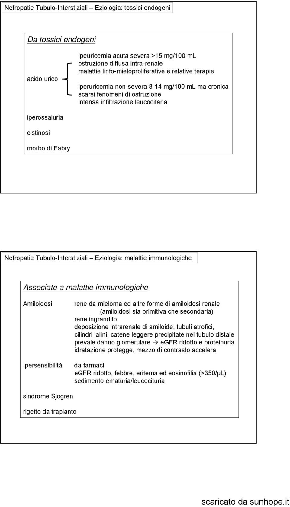 Tubulo-Interstiziali Eziologia: malattie immunologiche Associate a malattie immunologiche Amiloidosi Ipersensibilità rene da mieloma ed altre forme di amiloidosi renale (amiloidosi sia primitiva che