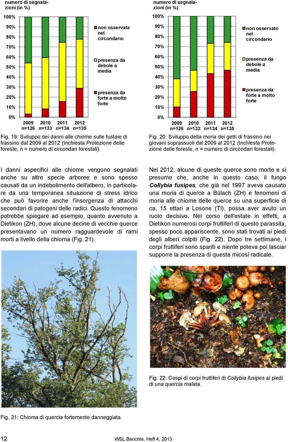 19: Sviluppo dei danni alle chiome sulle fustaie di frassino dal 2009 al 2012 (Inchiesta Protezione delle foreste, n = numero di circondari forestali).