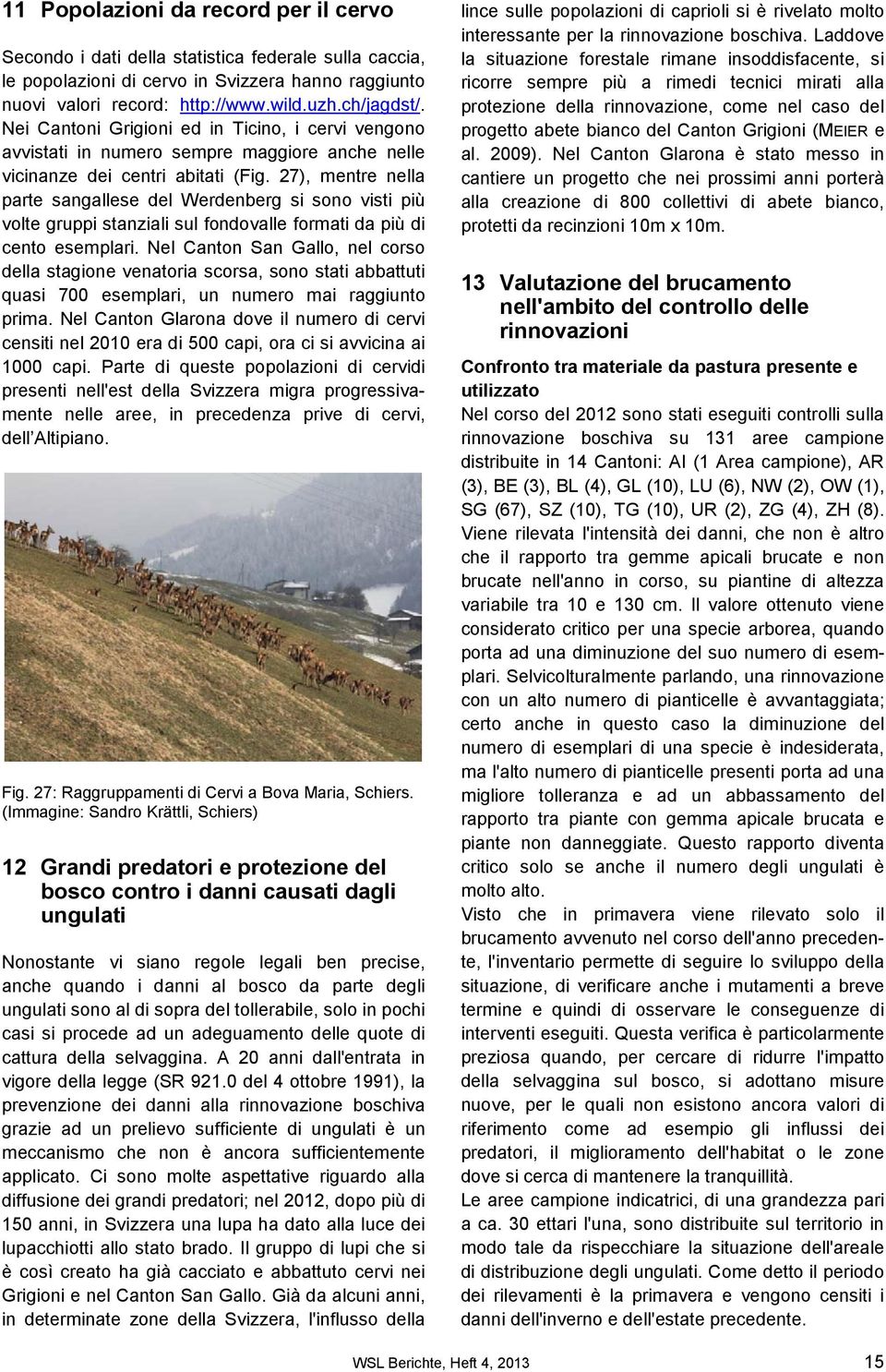 27), mentre nella parte sangallese del Werdenberg si sono visti più volte gruppi stanziali sul fondovalle formati da più di cento esemplari.