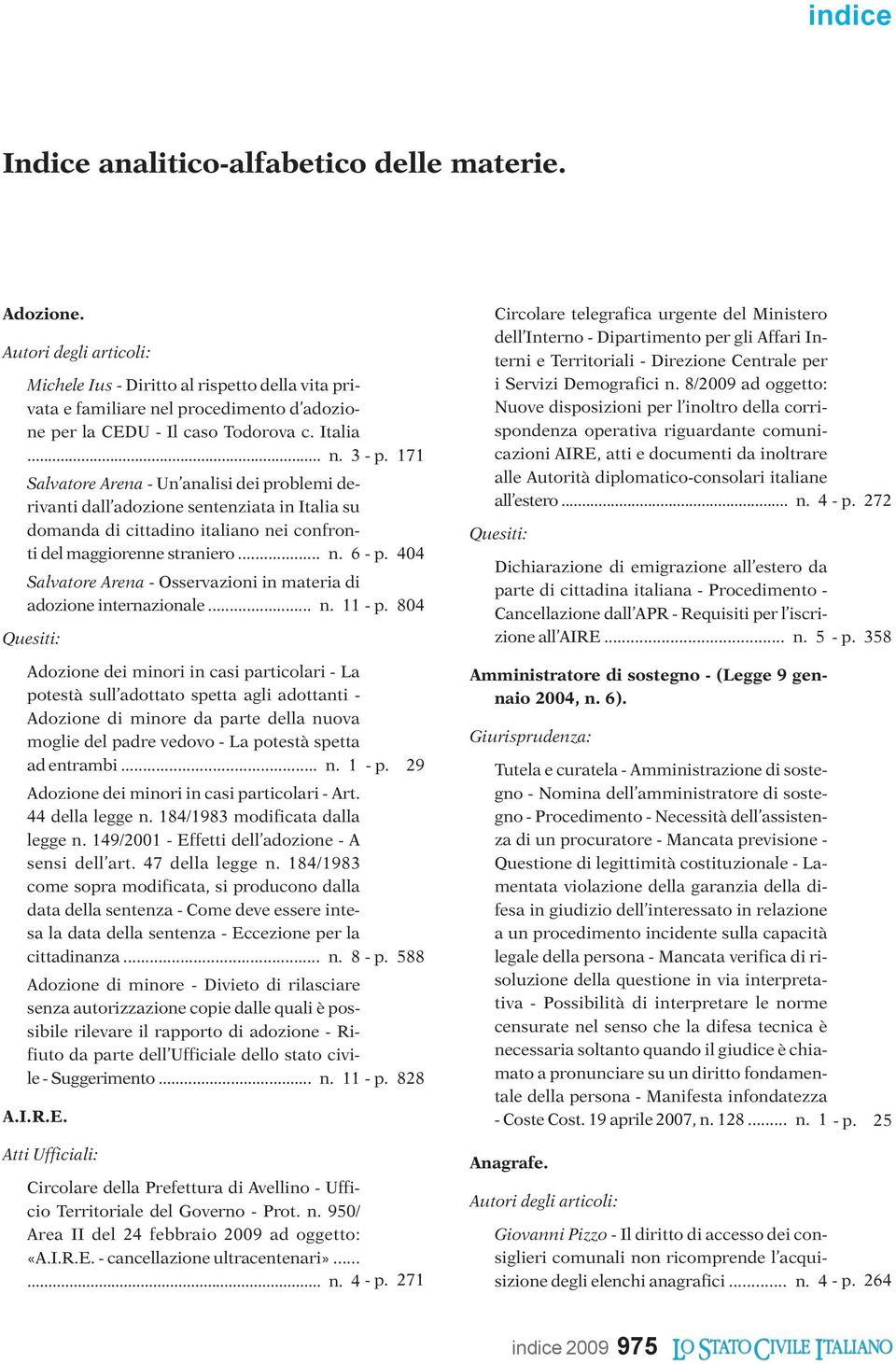 404 Salvatore Arena - Osservazioni in materia di adozione internazionale... n. 11 - p.