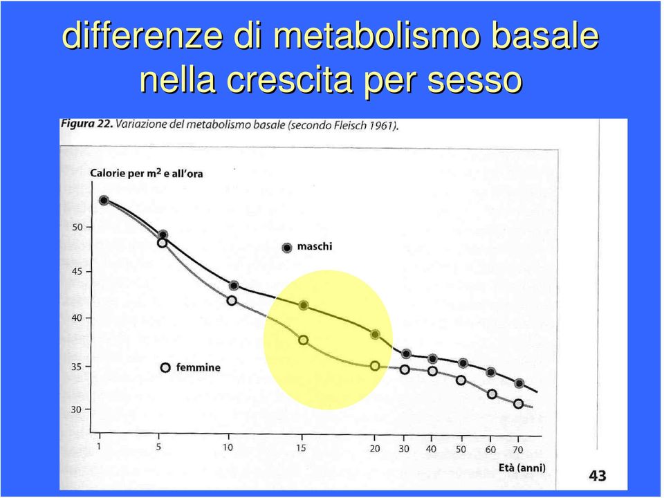 basale nella