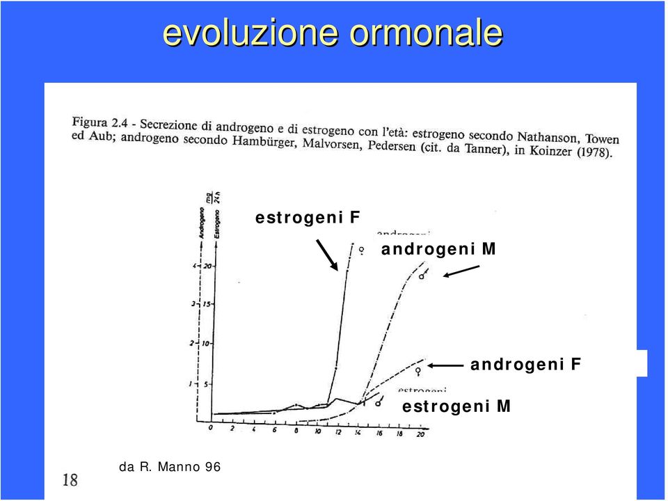 androgeni M