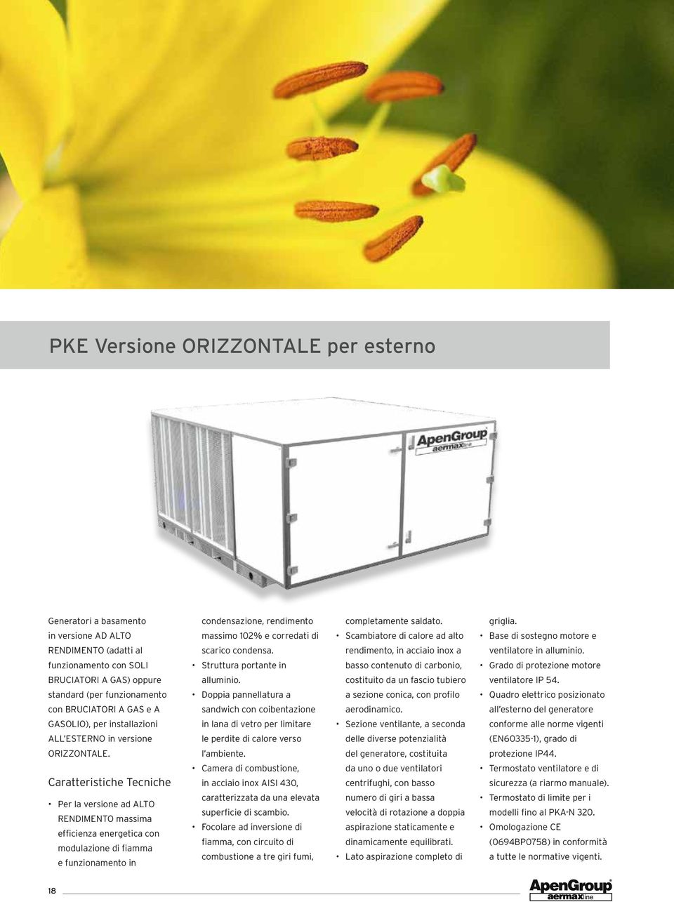 Caratteristiche Tecniche Per la versione ad ALTO RENDIMENTO massima efficienza energetica con modulazione di fiamma e funzionamento in condensazione, rendimento massimo 102% e corredati di scarico