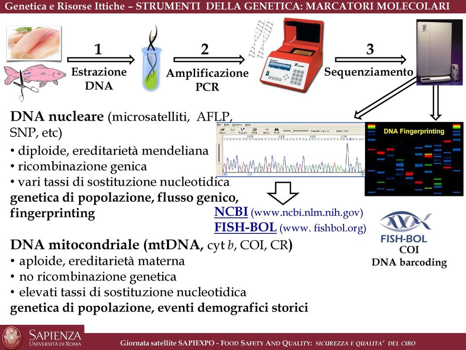 popolazione, flusso genico, fingerprinting NCBI (www.ncbi.nlm.nih.gov) FISH-BOL (www. fishbol.