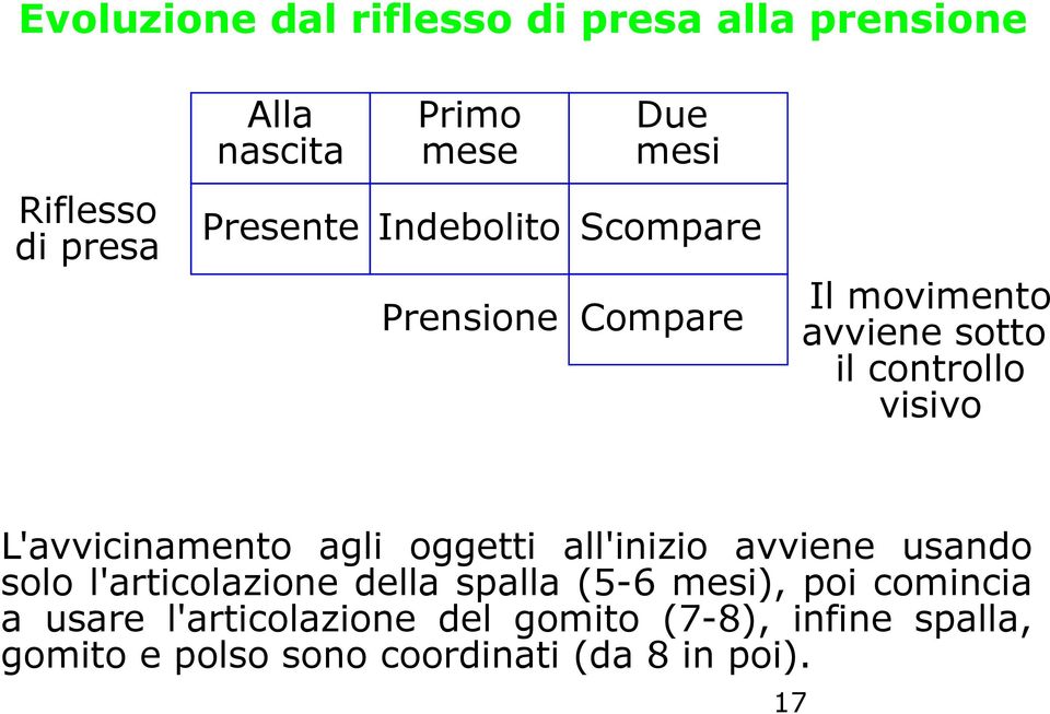 L'avvicinamento agli oggetti all'inizio avviene usando solo l'articolazione della spalla (5-6 mesi),