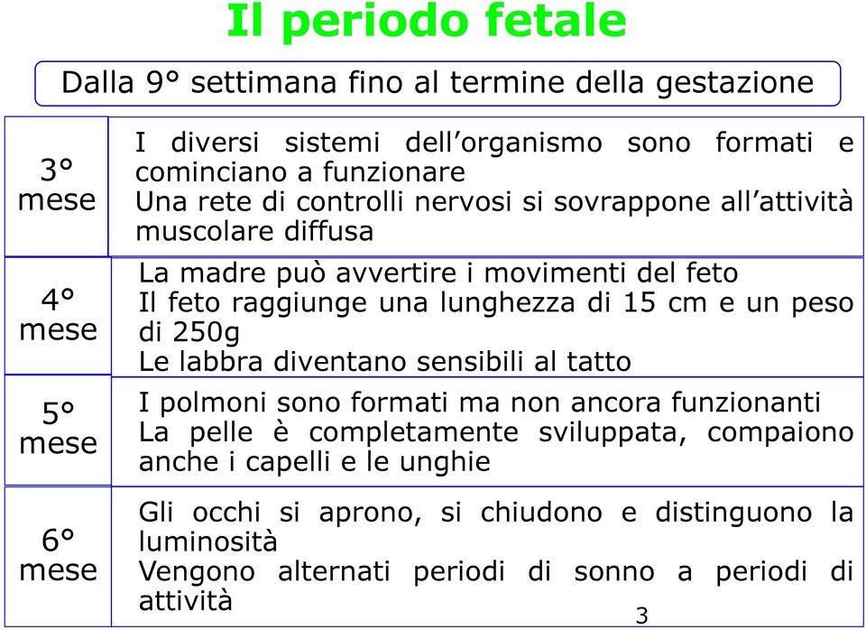 peso mese di 250g Le labbra diventano sensibili al tatto I polmoni sono formati ma non ancora funzionanti 5 mese La pelle è completamente sviluppata,