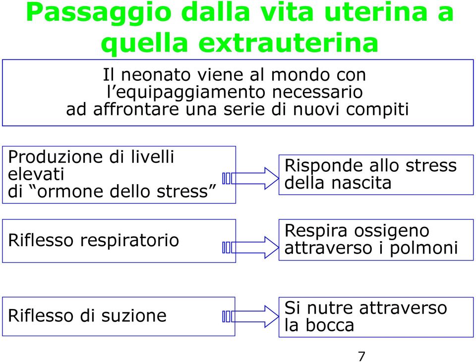 livelli elevati di ormone dello stress Risponde allo stress della nascita Riflesso