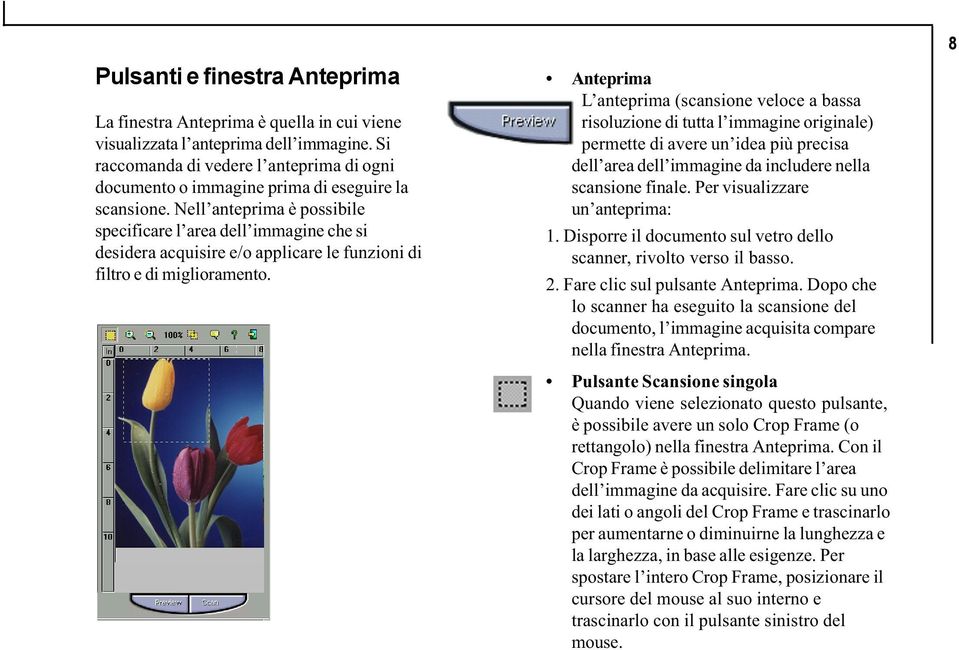 Nell anteprima è possibile specificare l area dell immagine che si desidera acquisire e/o applicare le funzioni di filtro e di miglioramento.