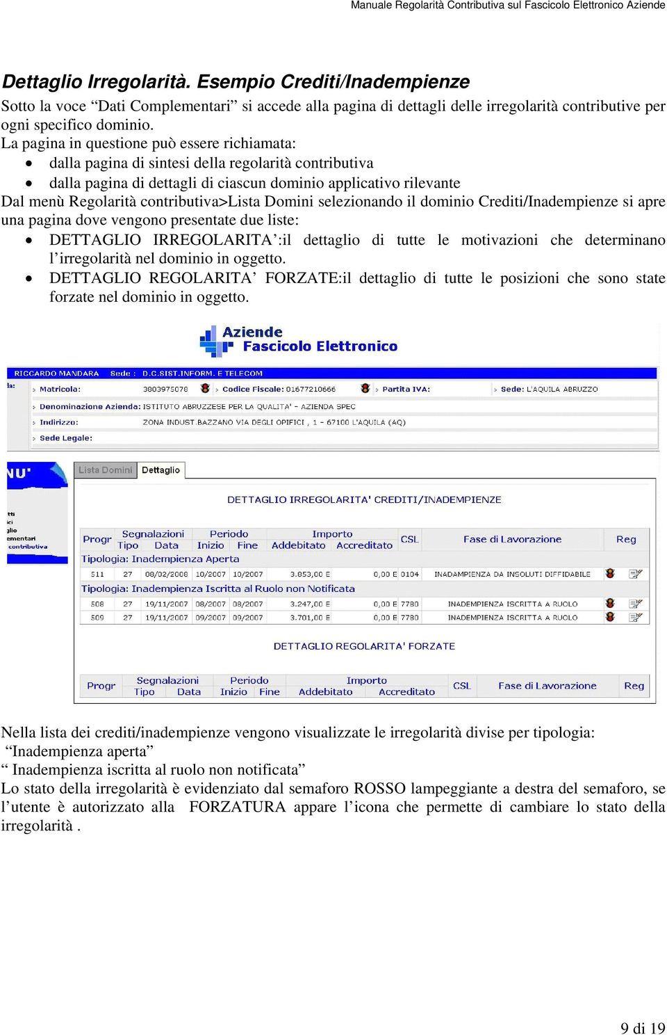 contributiva>lista Domini selezionando il dominio Crediti/Inadempienze si apre una pagina dove vengono presentate due liste: DETTAGLIO IRREGOLARITA :il dettaglio di tutte le motivazioni che