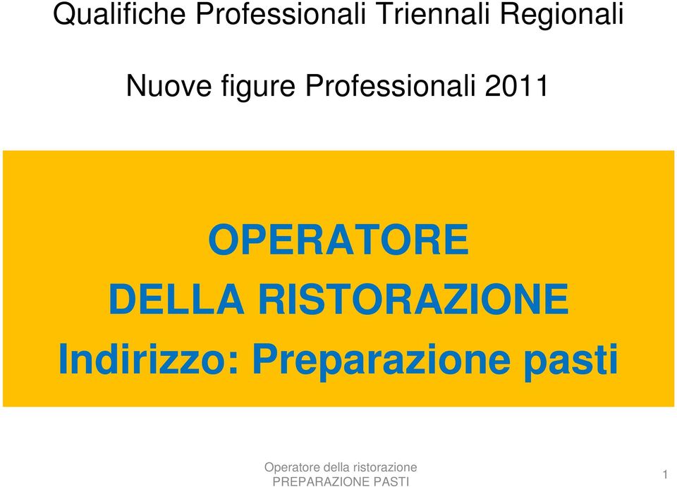 Professionali 2011 OPERATORE DELLA