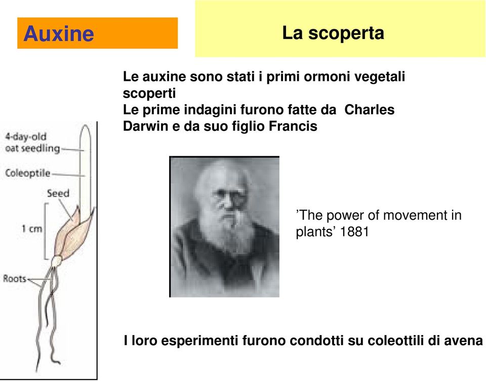 Darwin e da suo figlio Francis The power of movement in