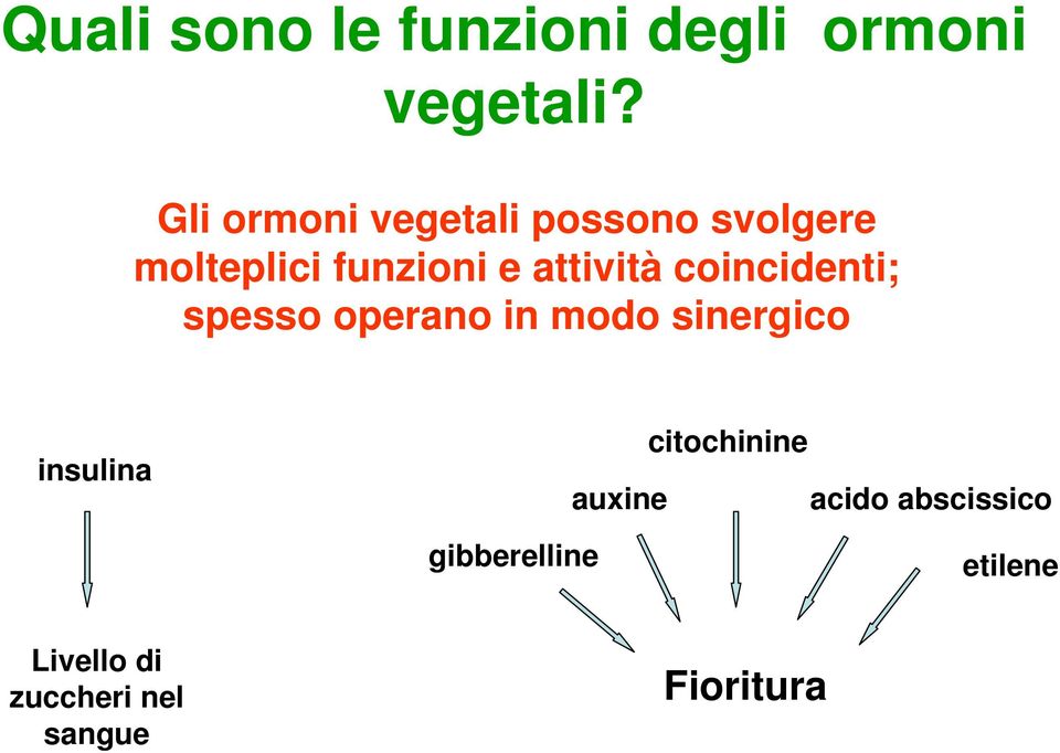 attività coincidenti; spesso operano in modo sinergico insulina