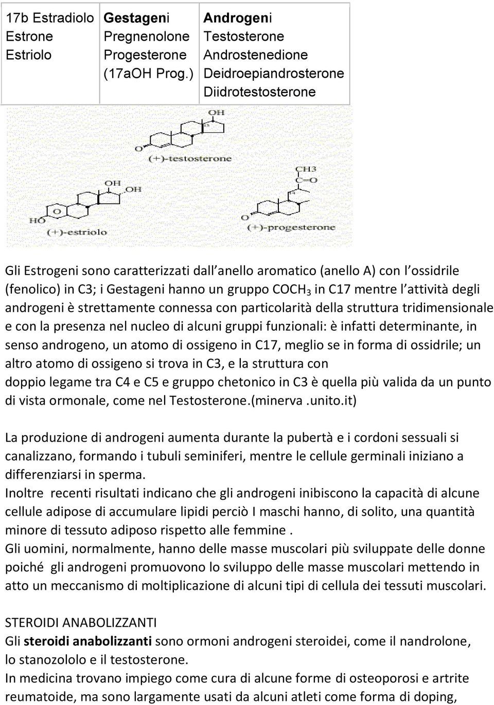 hanno un gruppo COCH 3 in C17 mentre l attività degli androgeni è strettamente connessa con particolarità della struttura tridimensionale e con la presenza nel nucleo di alcuni gruppi funzionali: è