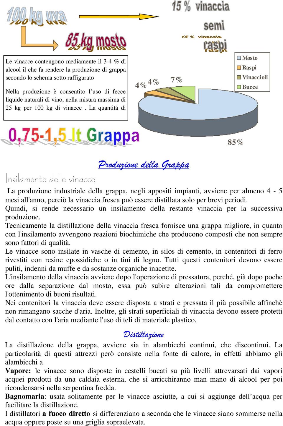 La quantità di 4% 4% 7% Mosto Raspi Vinaccioli Bucce 85% Produzione della Grappa Insilamento delle vinacce La produzione industriale della grappa, negli appositi impianti, avviene per almeno 4-5 mesi