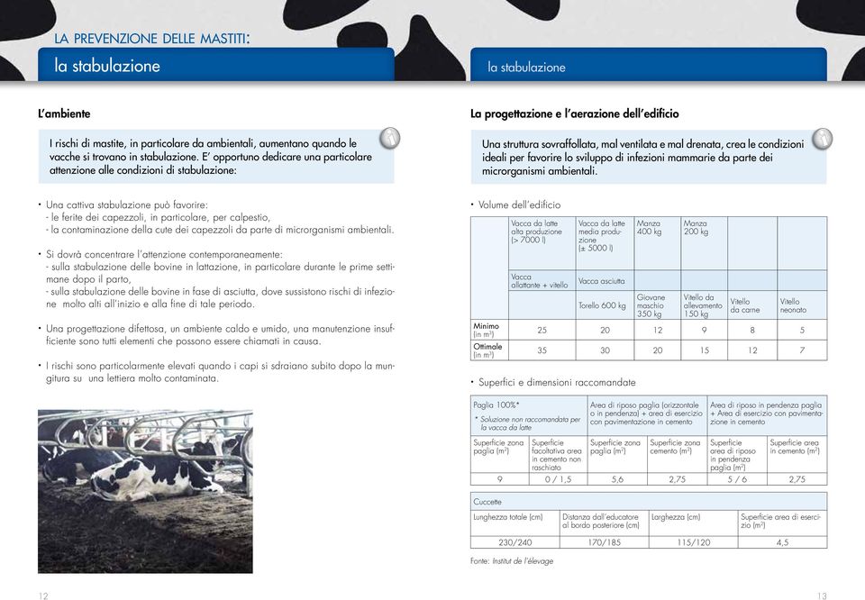 della cute dei capezzoli da parte di microrganismi ambientali.