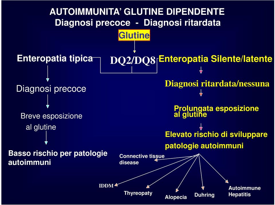 glutine Basso rischio per patologie autoimmuni Connective tissue disease Prolungata esposizione al