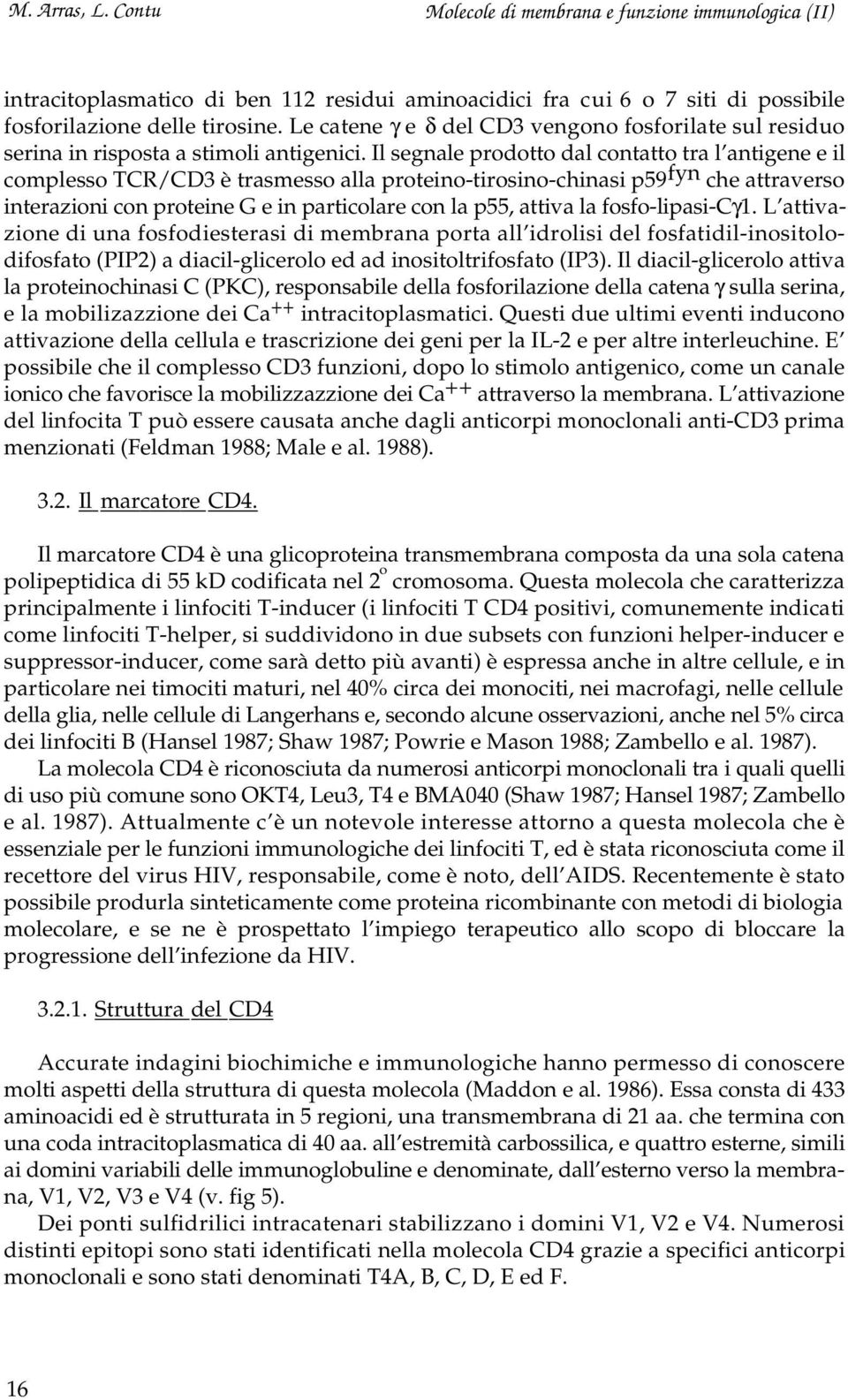 Il segnale prodotto dal contatto tra l antigene e il complesso TCR/CD3 è trasmesso alla proteino-tirosino-chinasi p59 fyn che attraverso interazioni con proteine G e in particolare con la p55, attiva