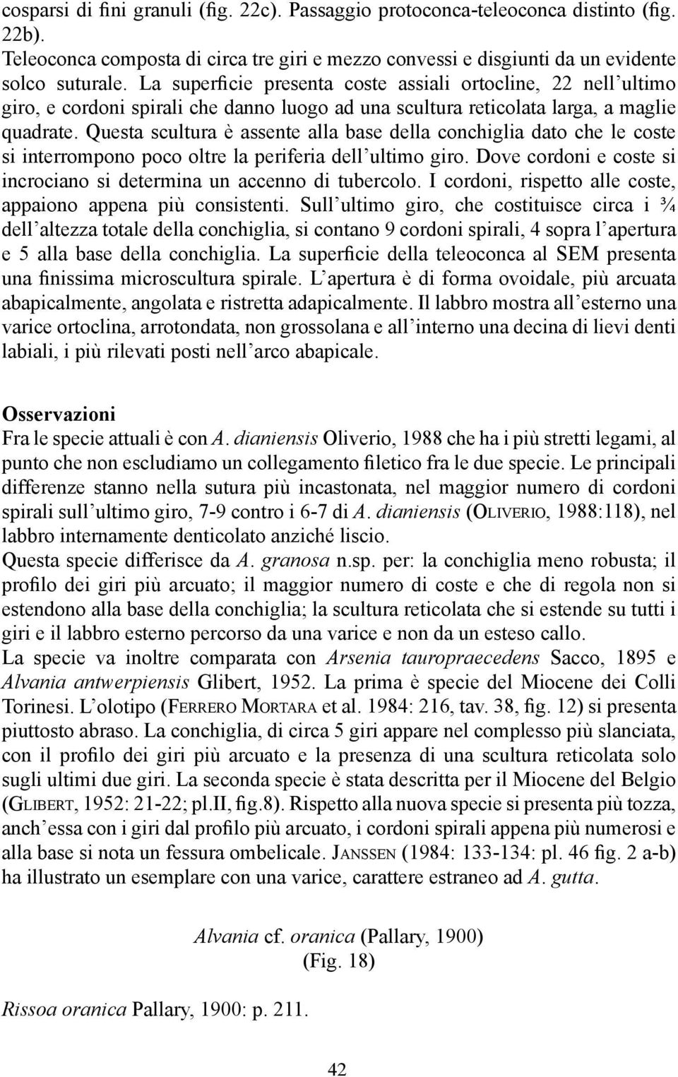 Questa scultura è assente alla base della conchiglia dato che le coste si interrompono poco oltre la periferia dell ultimo giro.