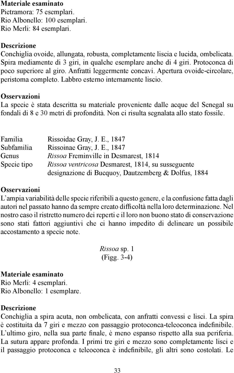 Labbro esterno internamente liscio. La specie è stata descritta su materiale proveniente dalle acque del Senegal su fondali di 8 e 30 metri di profondità. Non ci risulta segnalata allo stato fossile.