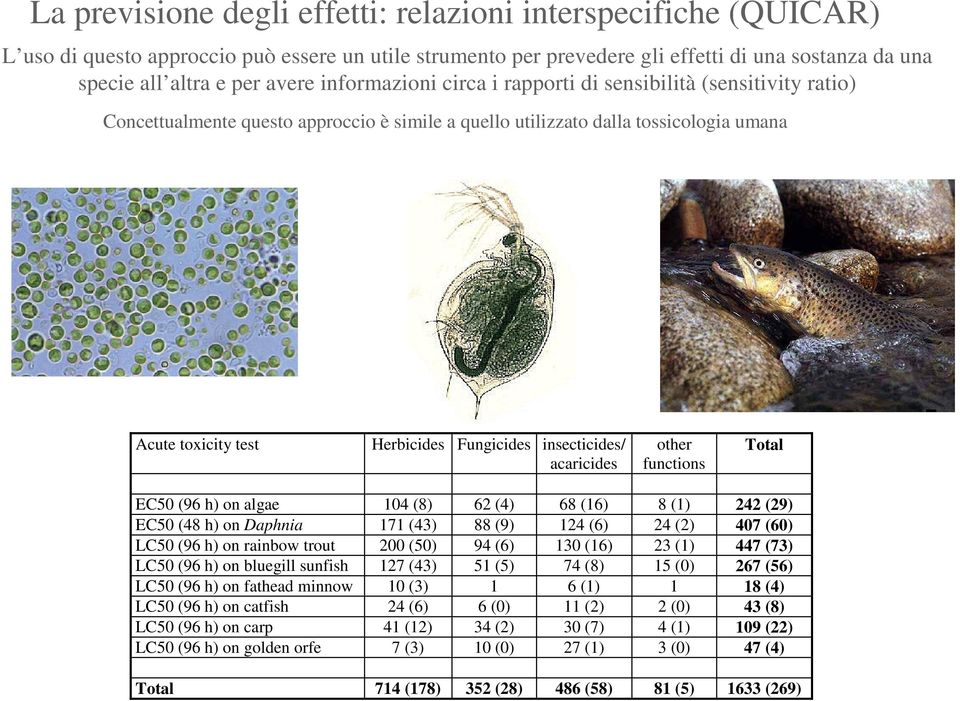 insecticides/ acaricides other functions Total EC50 (96 h) on algae 104 (8) 62 (4) 68 (16) 8 (1) 242 (29) EC50 (48 h) on Daphnia 171 (43) 88 (9) 124 (6) 24 (2) 407 (60) LC50 (96 h) on rainbow trout